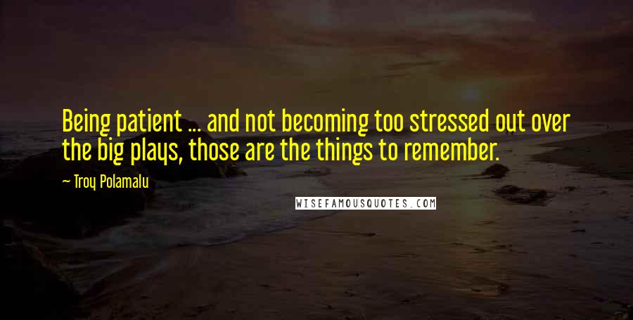 Troy Polamalu Quotes: Being patient ... and not becoming too stressed out over the big plays, those are the things to remember.