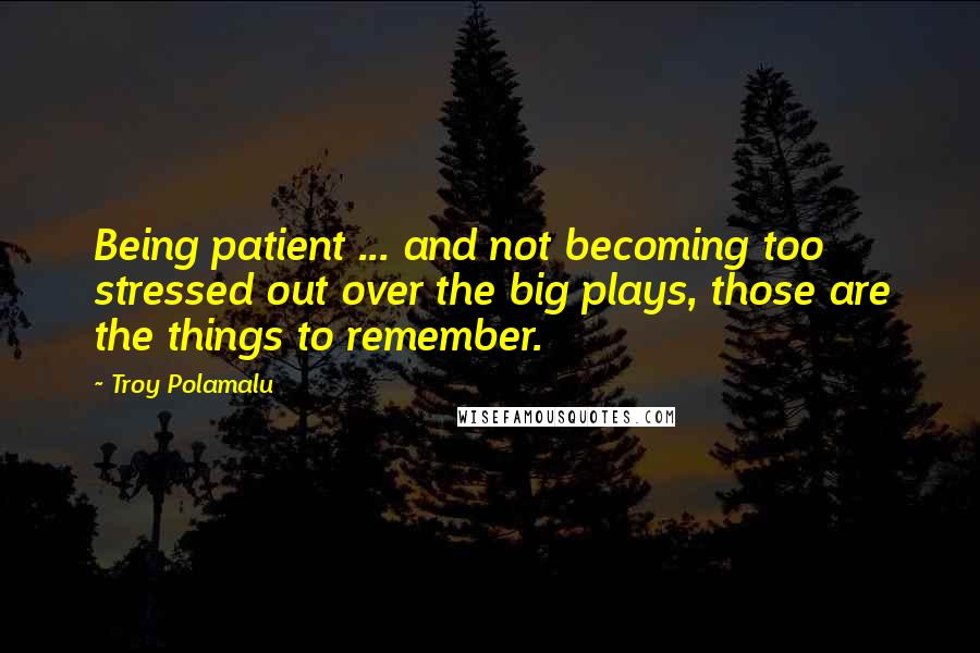 Troy Polamalu Quotes: Being patient ... and not becoming too stressed out over the big plays, those are the things to remember.
