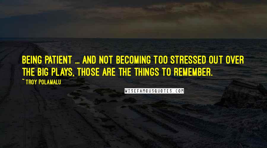 Troy Polamalu Quotes: Being patient ... and not becoming too stressed out over the big plays, those are the things to remember.