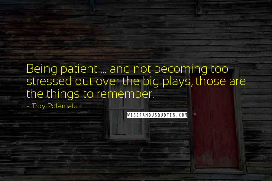 Troy Polamalu Quotes: Being patient ... and not becoming too stressed out over the big plays, those are the things to remember.