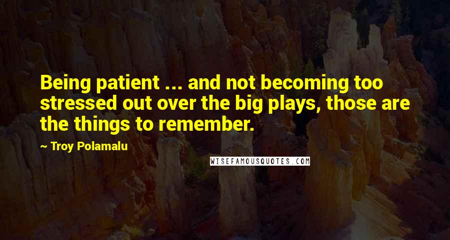 Troy Polamalu Quotes: Being patient ... and not becoming too stressed out over the big plays, those are the things to remember.