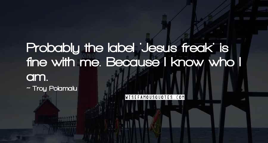 Troy Polamalu Quotes: Probably the label 'Jesus freak' is fine with me. Because I know who I am.