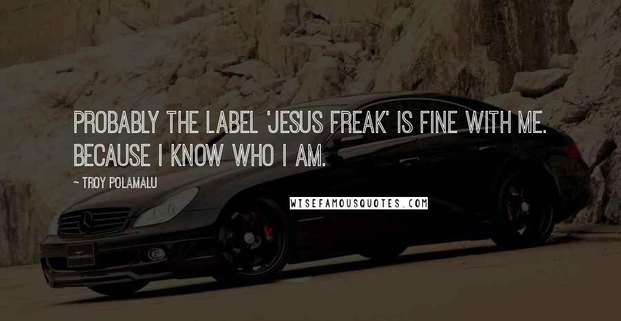 Troy Polamalu Quotes: Probably the label 'Jesus freak' is fine with me. Because I know who I am.