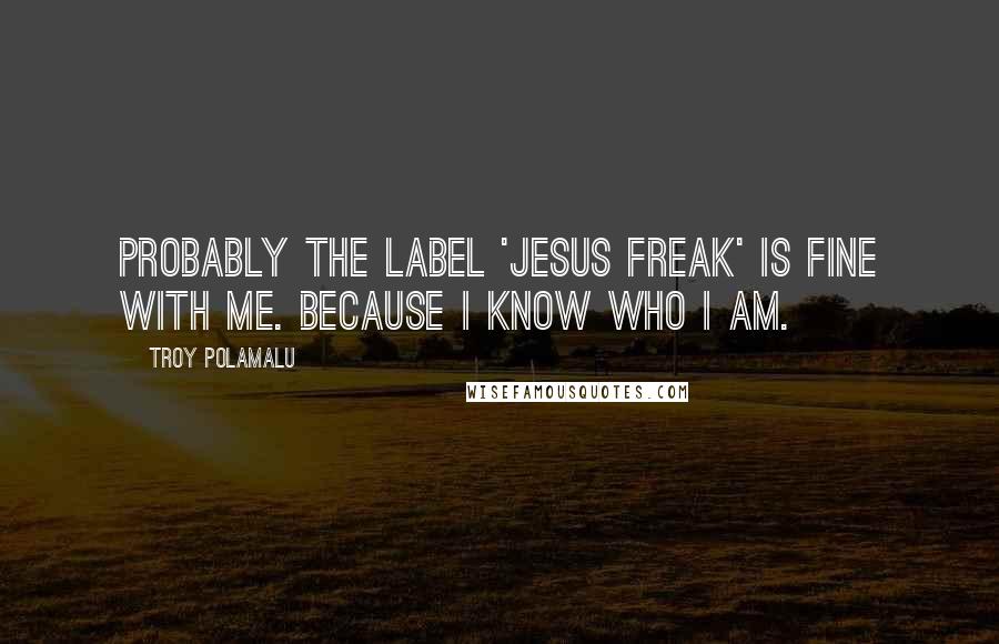 Troy Polamalu Quotes: Probably the label 'Jesus freak' is fine with me. Because I know who I am.