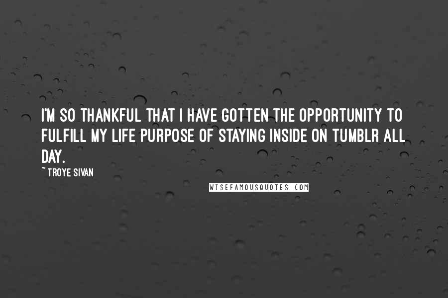 Troye Sivan Quotes: I'm so thankful that I have gotten the opportunity to fulfill my life purpose of staying inside on tumblr all day.