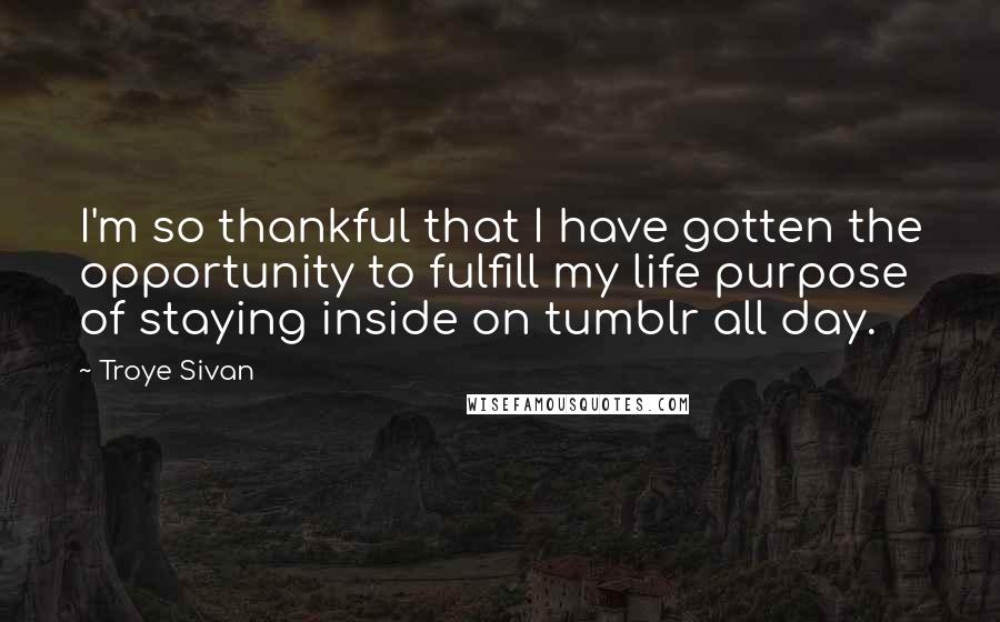 Troye Sivan Quotes: I'm so thankful that I have gotten the opportunity to fulfill my life purpose of staying inside on tumblr all day.