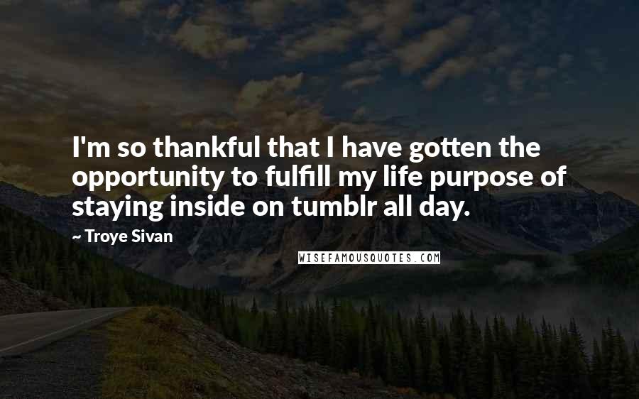 Troye Sivan Quotes: I'm so thankful that I have gotten the opportunity to fulfill my life purpose of staying inside on tumblr all day.