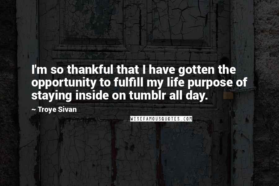 Troye Sivan Quotes: I'm so thankful that I have gotten the opportunity to fulfill my life purpose of staying inside on tumblr all day.