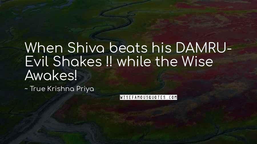 True Krishna Priya Quotes: When Shiva beats his DAMRU- Evil Shakes !! while the Wise Awakes!