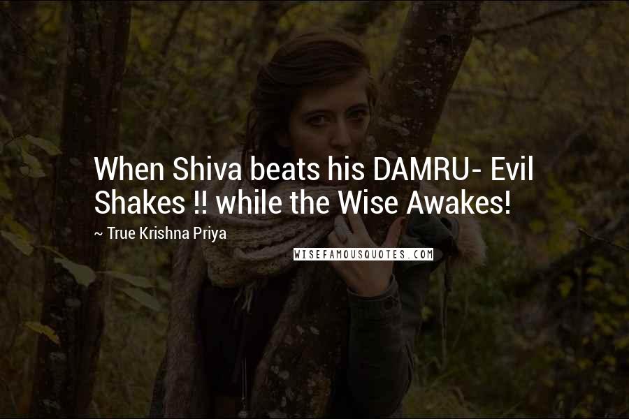 True Krishna Priya Quotes: When Shiva beats his DAMRU- Evil Shakes !! while the Wise Awakes!