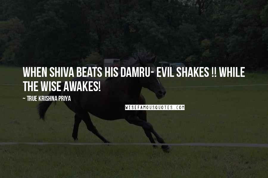 True Krishna Priya Quotes: When Shiva beats his DAMRU- Evil Shakes !! while the Wise Awakes!