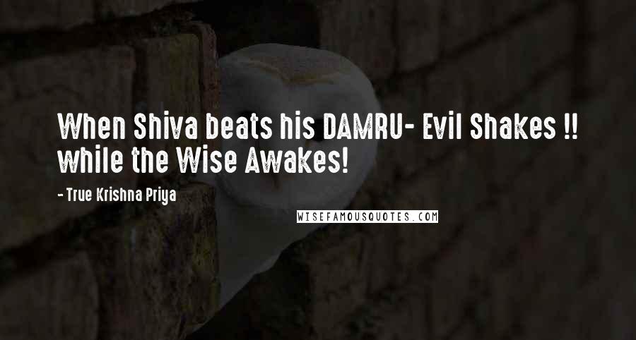 True Krishna Priya Quotes: When Shiva beats his DAMRU- Evil Shakes !! while the Wise Awakes!