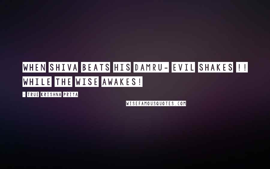 True Krishna Priya Quotes: When Shiva beats his DAMRU- Evil Shakes !! while the Wise Awakes!