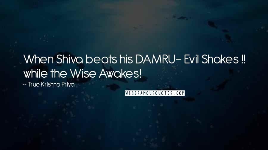 True Krishna Priya Quotes: When Shiva beats his DAMRU- Evil Shakes !! while the Wise Awakes!