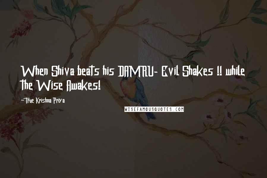 True Krishna Priya Quotes: When Shiva beats his DAMRU- Evil Shakes !! while the Wise Awakes!