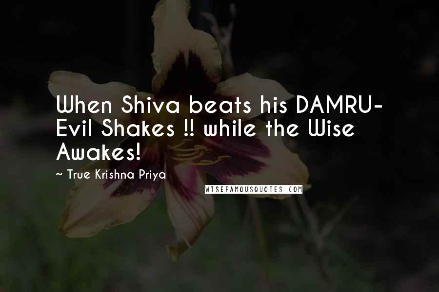 True Krishna Priya Quotes: When Shiva beats his DAMRU- Evil Shakes !! while the Wise Awakes!