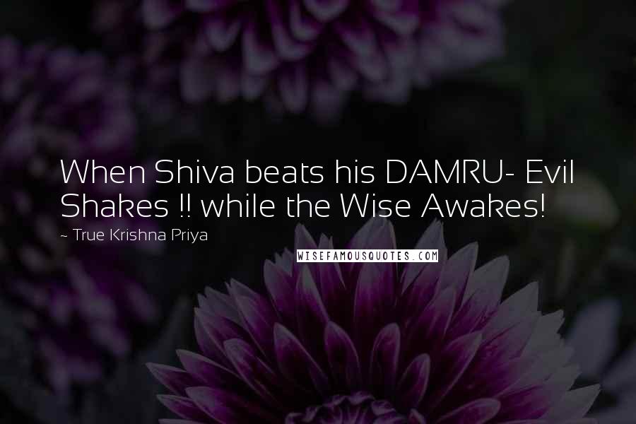 True Krishna Priya Quotes: When Shiva beats his DAMRU- Evil Shakes !! while the Wise Awakes!
