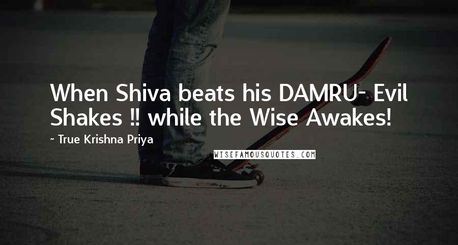 True Krishna Priya Quotes: When Shiva beats his DAMRU- Evil Shakes !! while the Wise Awakes!