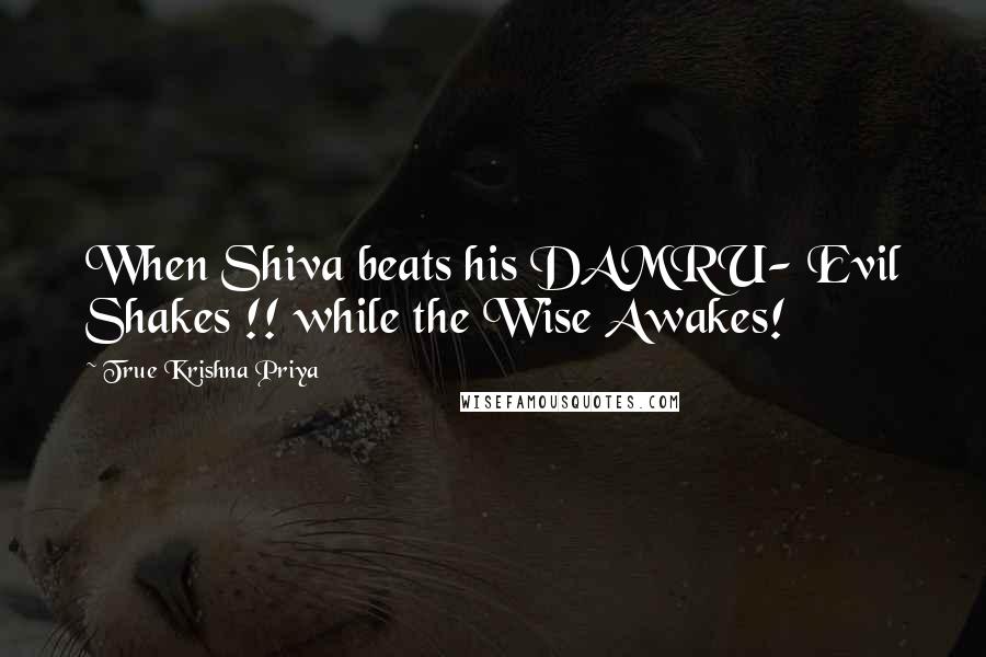 True Krishna Priya Quotes: When Shiva beats his DAMRU- Evil Shakes !! while the Wise Awakes!