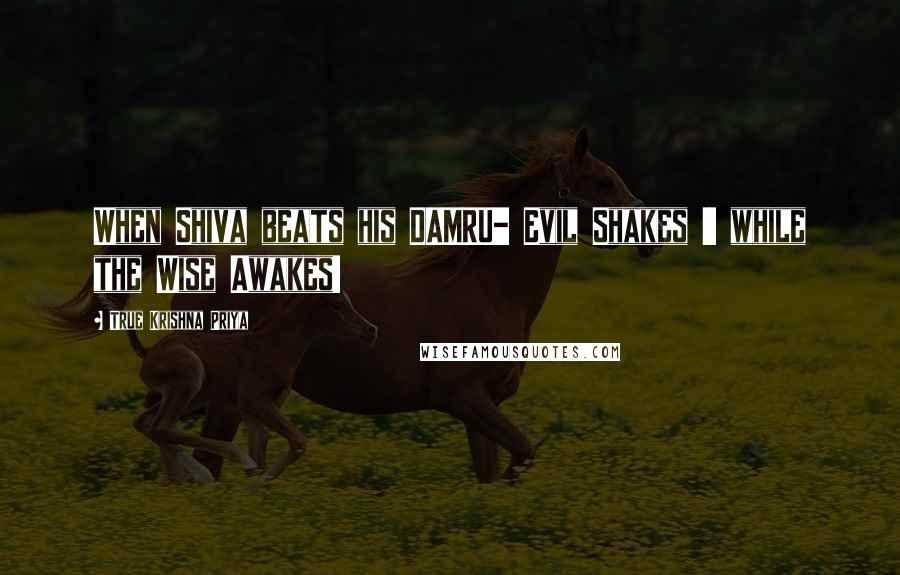 True Krishna Priya Quotes: When Shiva beats his DAMRU- Evil Shakes !! while the Wise Awakes!