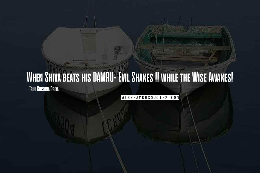 True Krishna Priya Quotes: When Shiva beats his DAMRU- Evil Shakes !! while the Wise Awakes!
