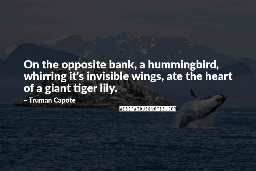 Truman Capote Quotes: On the opposite bank, a hummingbird, whirring it's invisible wings, ate the heart of a giant tiger lily.