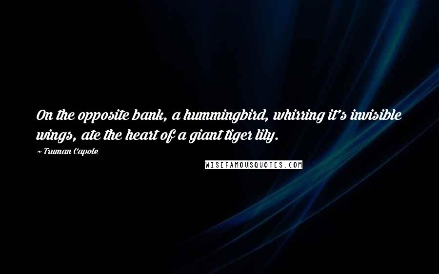 Truman Capote Quotes: On the opposite bank, a hummingbird, whirring it's invisible wings, ate the heart of a giant tiger lily.