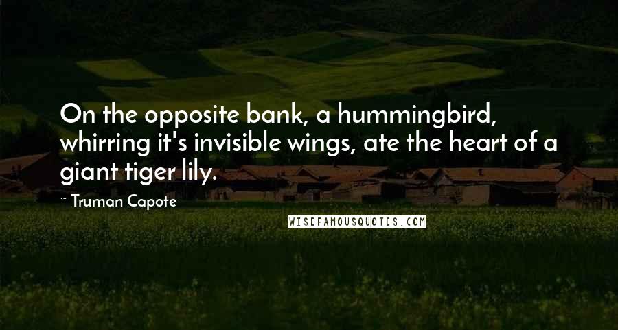 Truman Capote Quotes: On the opposite bank, a hummingbird, whirring it's invisible wings, ate the heart of a giant tiger lily.