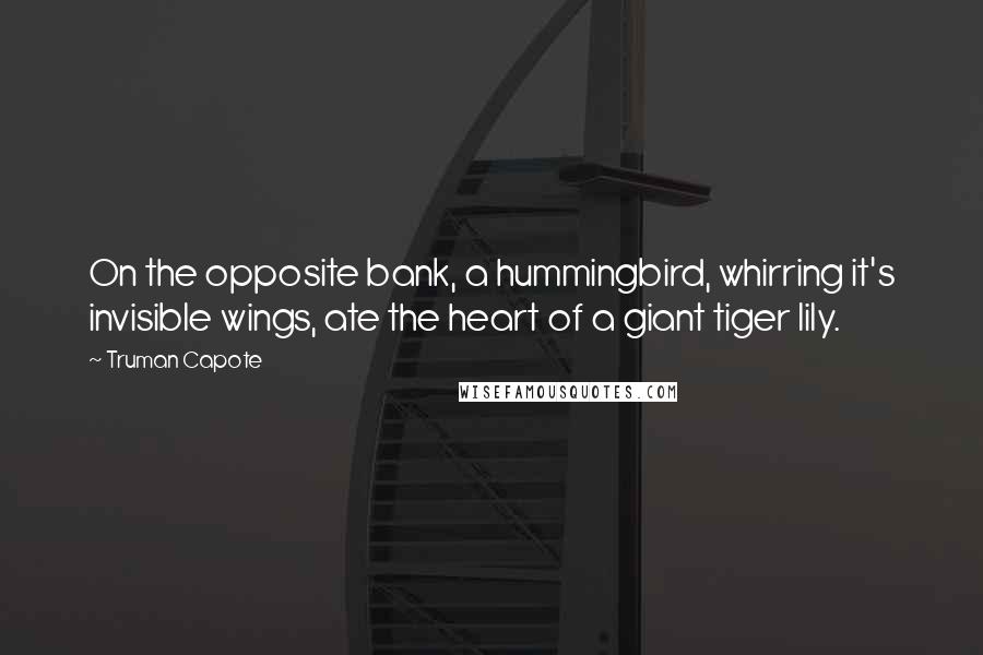 Truman Capote Quotes: On the opposite bank, a hummingbird, whirring it's invisible wings, ate the heart of a giant tiger lily.