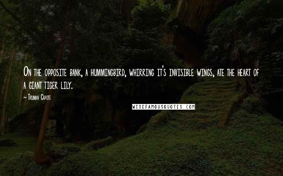 Truman Capote Quotes: On the opposite bank, a hummingbird, whirring it's invisible wings, ate the heart of a giant tiger lily.