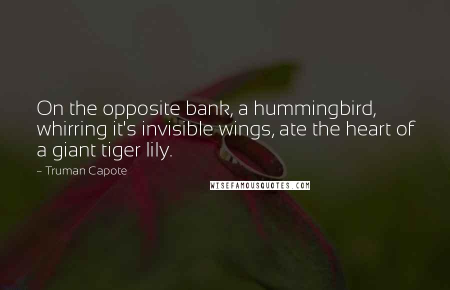 Truman Capote Quotes: On the opposite bank, a hummingbird, whirring it's invisible wings, ate the heart of a giant tiger lily.