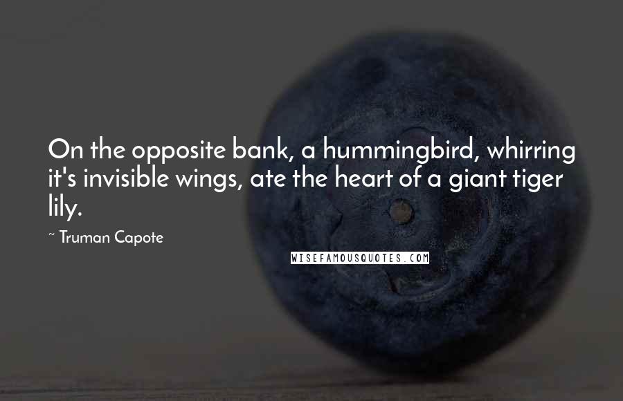 Truman Capote Quotes: On the opposite bank, a hummingbird, whirring it's invisible wings, ate the heart of a giant tiger lily.