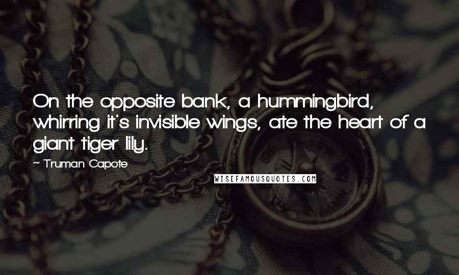 Truman Capote Quotes: On the opposite bank, a hummingbird, whirring it's invisible wings, ate the heart of a giant tiger lily.