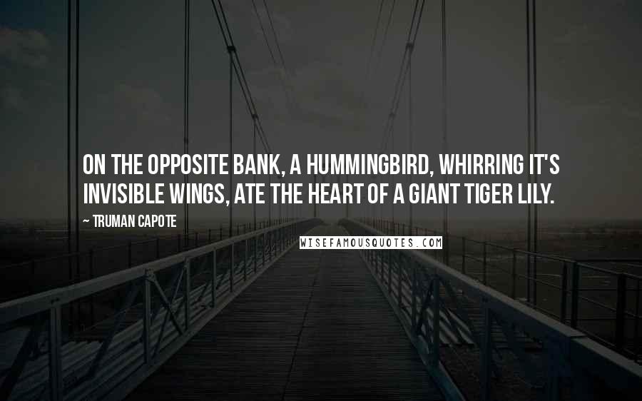 Truman Capote Quotes: On the opposite bank, a hummingbird, whirring it's invisible wings, ate the heart of a giant tiger lily.