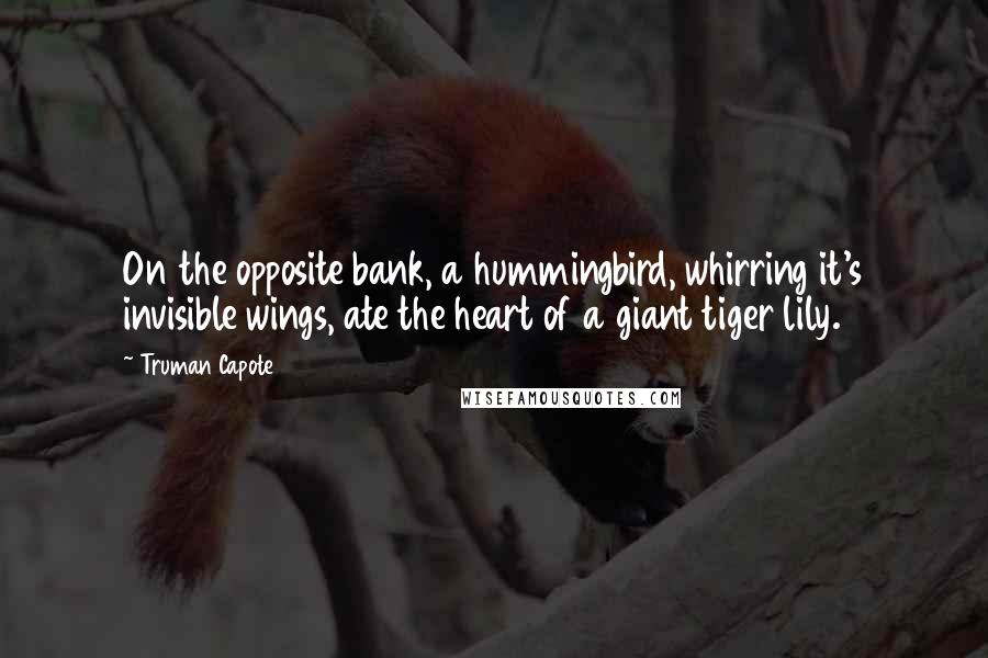 Truman Capote Quotes: On the opposite bank, a hummingbird, whirring it's invisible wings, ate the heart of a giant tiger lily.