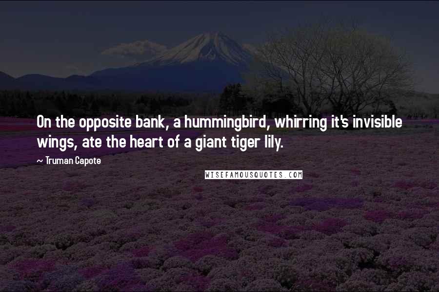 Truman Capote Quotes: On the opposite bank, a hummingbird, whirring it's invisible wings, ate the heart of a giant tiger lily.