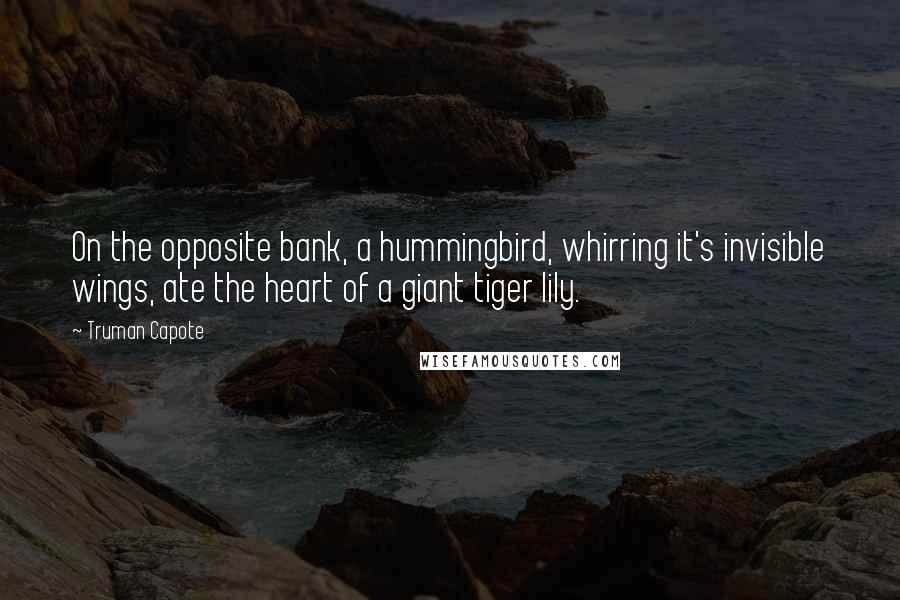 Truman Capote Quotes: On the opposite bank, a hummingbird, whirring it's invisible wings, ate the heart of a giant tiger lily.