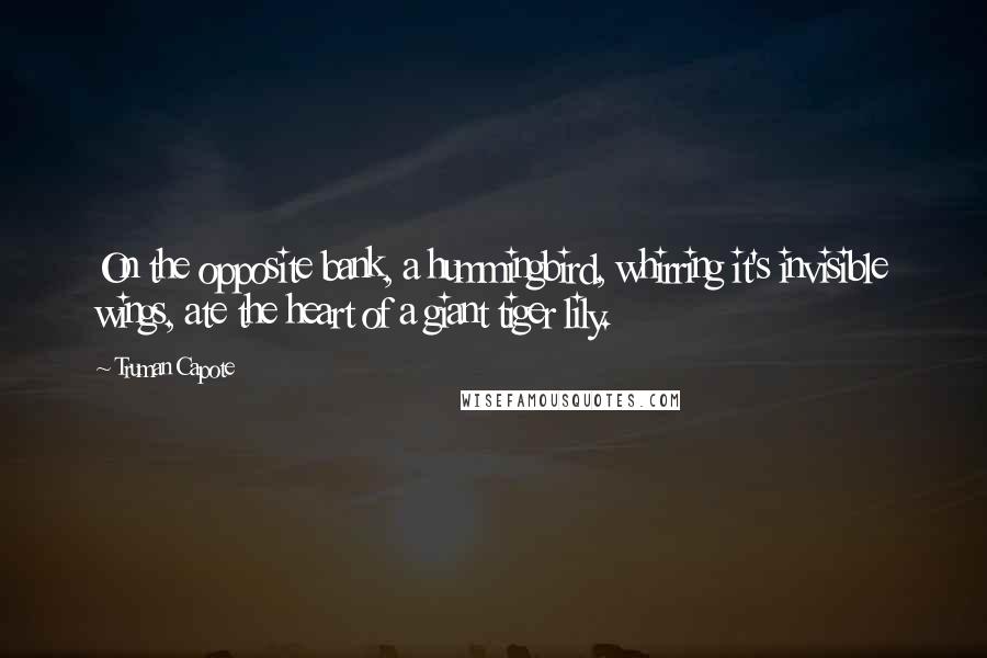 Truman Capote Quotes: On the opposite bank, a hummingbird, whirring it's invisible wings, ate the heart of a giant tiger lily.