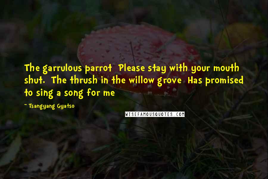 Tsangyang Gyatso Quotes: The garrulous parrot  Please stay with your mouth shut.  The thrush in the willow grove  Has promised to sing a song for me