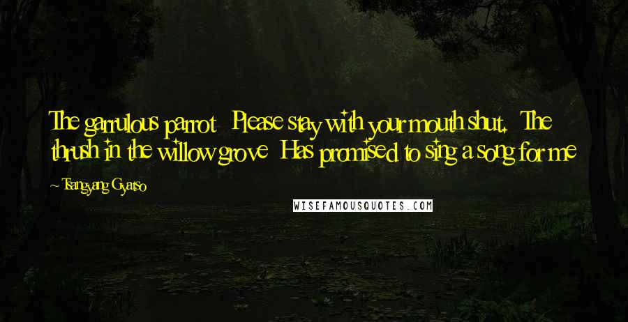 Tsangyang Gyatso Quotes: The garrulous parrot  Please stay with your mouth shut.  The thrush in the willow grove  Has promised to sing a song for me