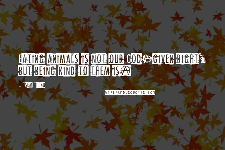 Tsem Tulku Quotes: Eating animals is not our God-given right, but being kind to them is.