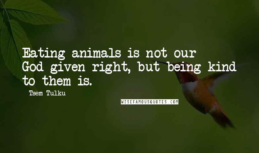 Tsem Tulku Quotes: Eating animals is not our God-given right, but being kind to them is.