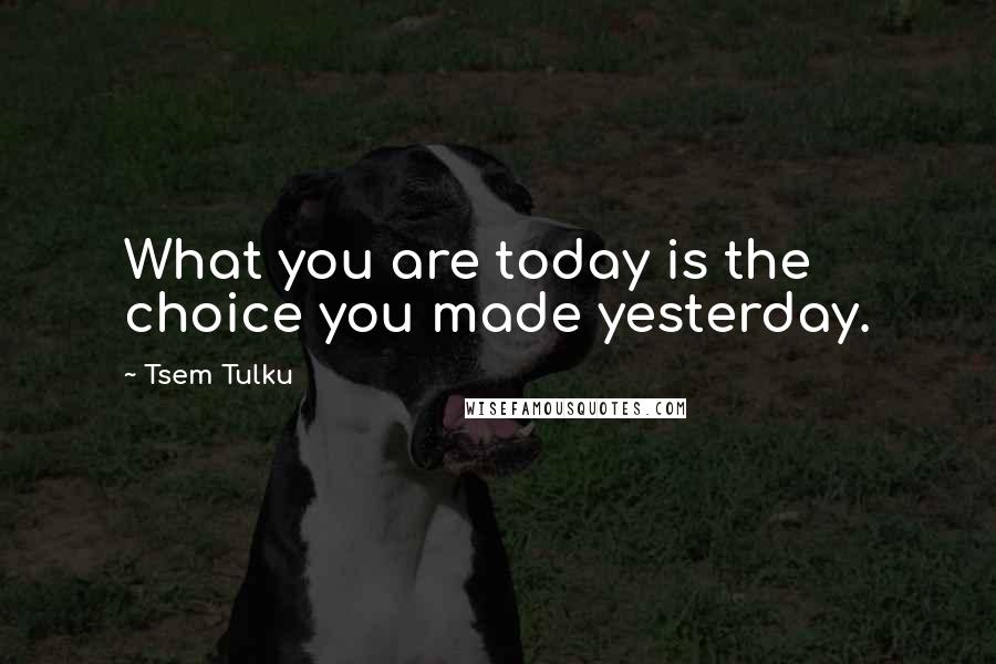 Tsem Tulku Quotes: What you are today is the choice you made yesterday.