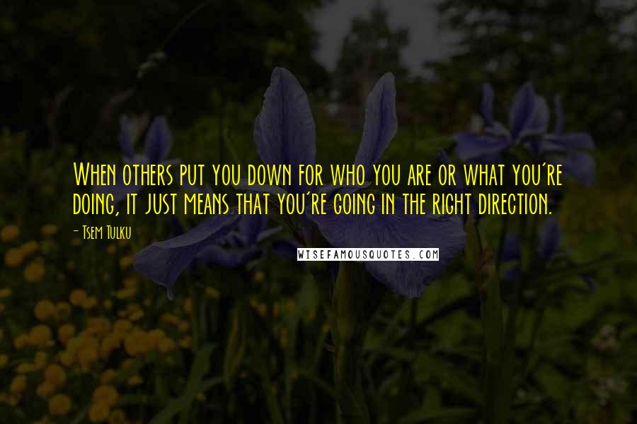 Tsem Tulku Quotes: When others put you down for who you are or what you're doing, it just means that you're going in the right direction.