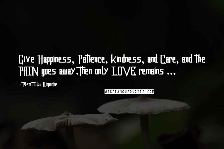 Tsem Tulku Rinpoche Quotes: Give Happiness, Patience, kindness, and Care, and the PAIN goes away.Then only LOVE remains ...