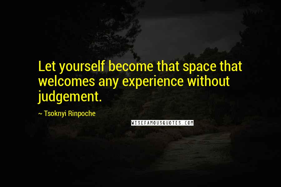 Tsoknyi Rinpoche Quotes: Let yourself become that space that welcomes any experience without judgement.