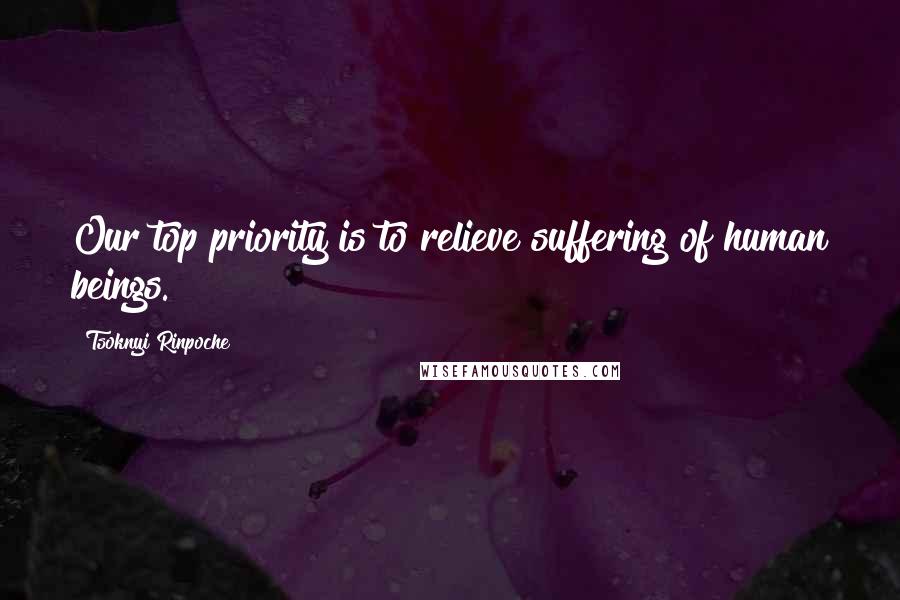 Tsoknyi Rinpoche Quotes: Our top priority is to relieve suffering of human beings.