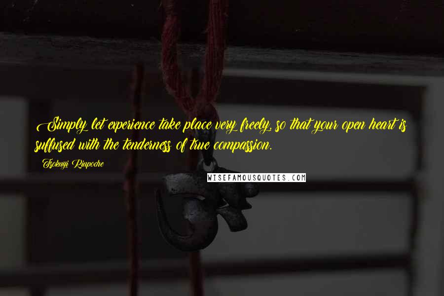 Tsoknyi Rinpoche Quotes: Simply let experience take place very freely, so that your open heart is suffused with the tenderness of true compassion.