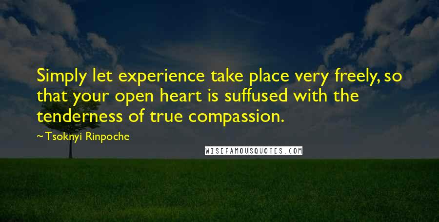 Tsoknyi Rinpoche Quotes: Simply let experience take place very freely, so that your open heart is suffused with the tenderness of true compassion.