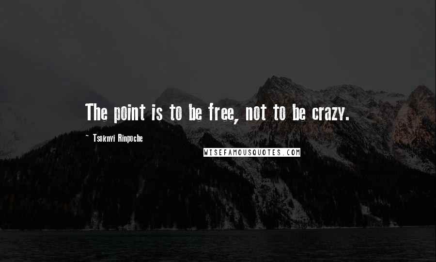 Tsoknyi Rinpoche Quotes: The point is to be free, not to be crazy.